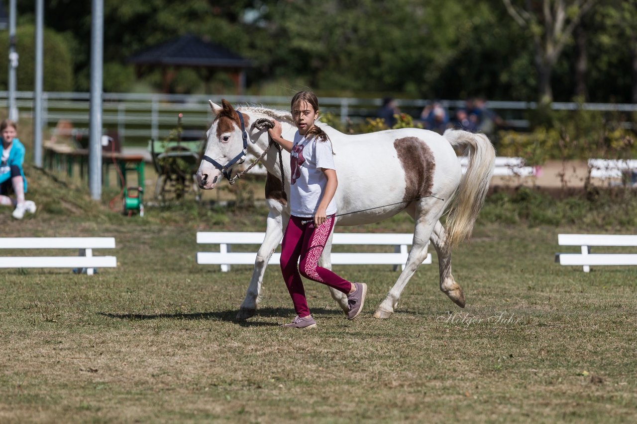 Bild 50 - Pony Akademie Turnier